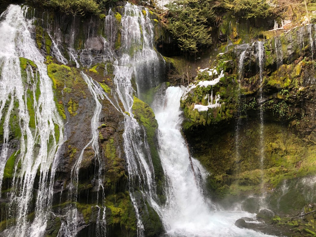 Panther Creek Falls