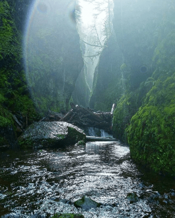 Oneonta Gorge