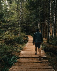 Mt Rainier National Park Hike