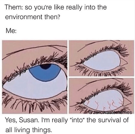 Screen Shot 2019-05-29 at 7.48.11 PM.png