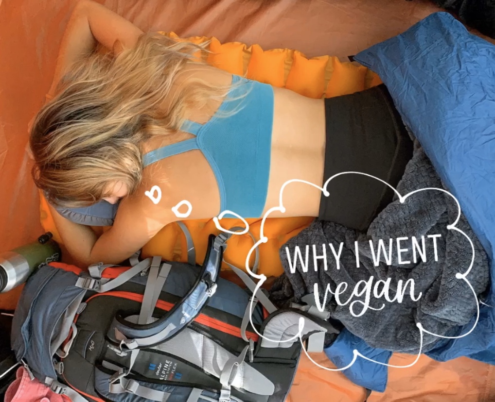 WHy I went vegan