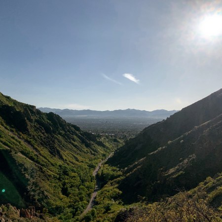 millcreek canyon in the spring in salt lake city, Utah