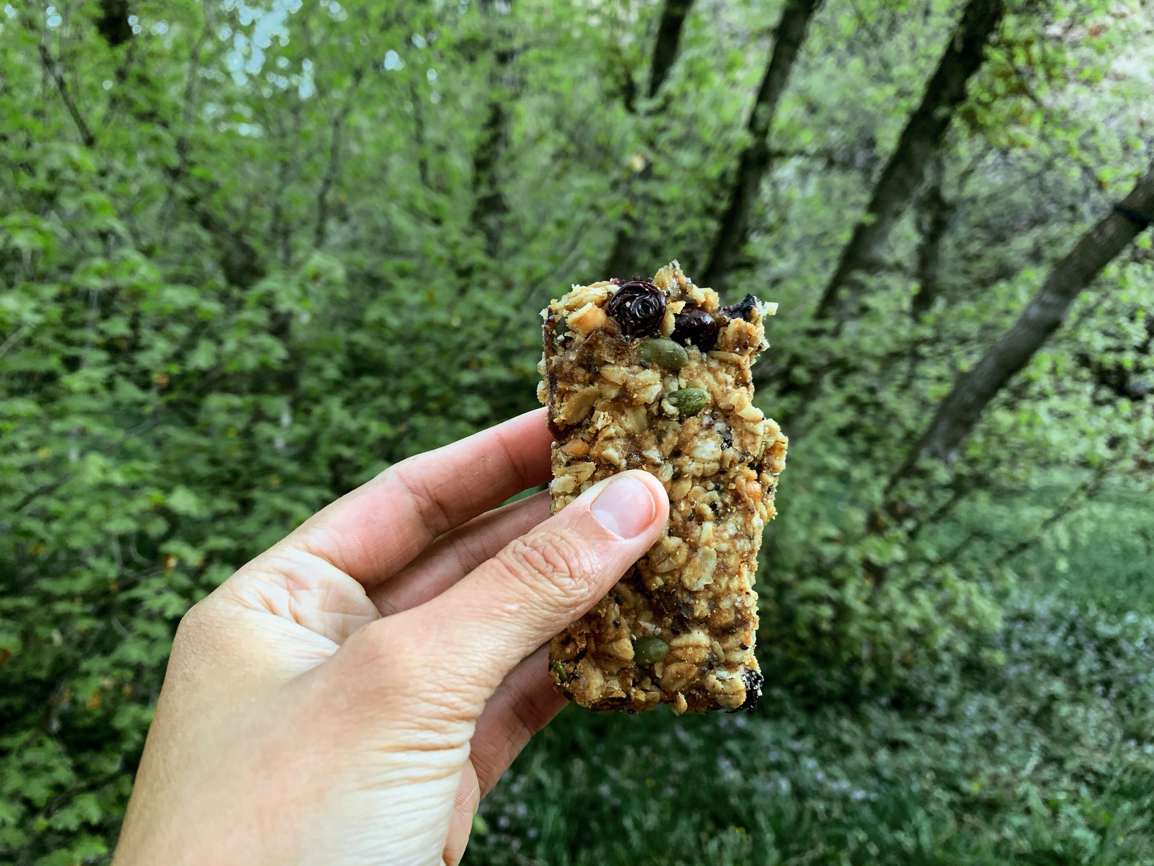 blueberry lemon granola bars in the wild