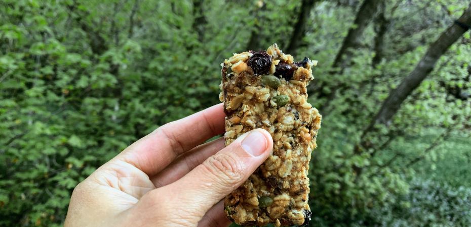 blueberry lemon granola bars in the wild