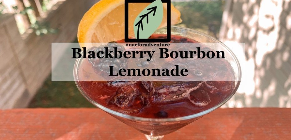 blackberry bourbon lemonade cocktail recipe