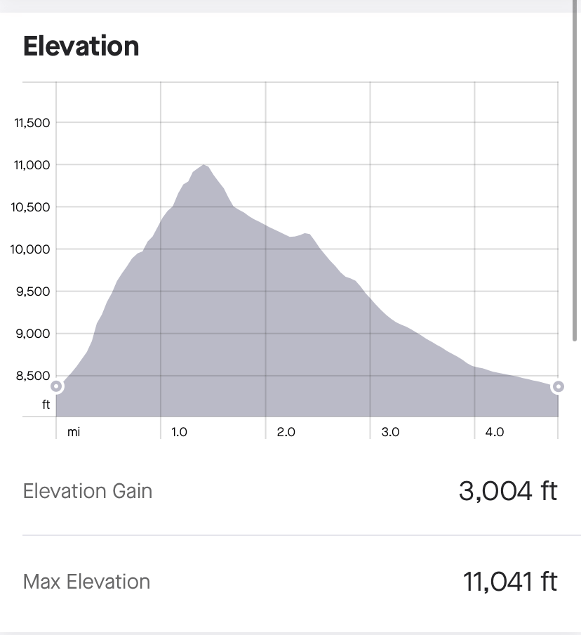 elevation gain on MOunt Superior technical scramble hike