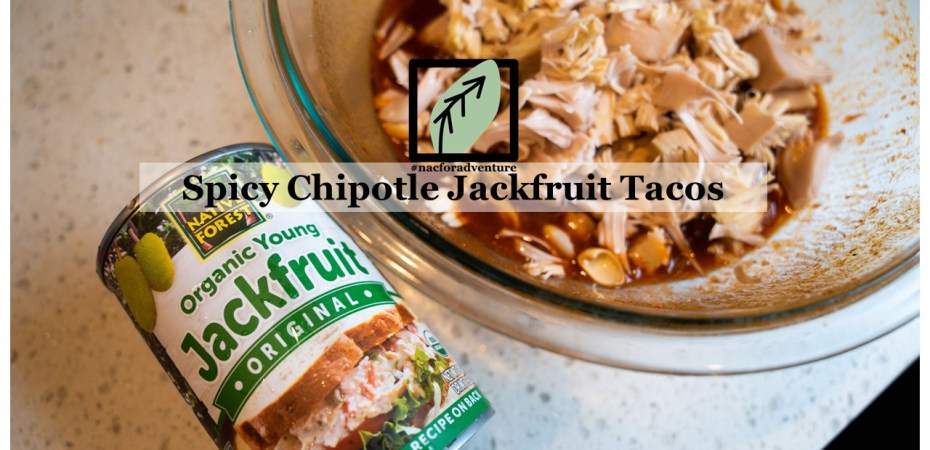 spicy chipotle vegan jackfruit taco easy recipe