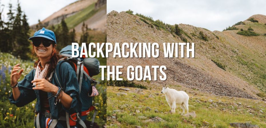 backpacking up mount timp and emerald lake with mountain goats