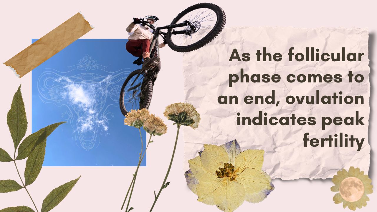 scrapbook style image with freen leaves, dried flowers, large flower icon, daisy icon with full moon in center, picture of blue sky with a cloud and a uterus diagram overlay and a woman jumping her bike