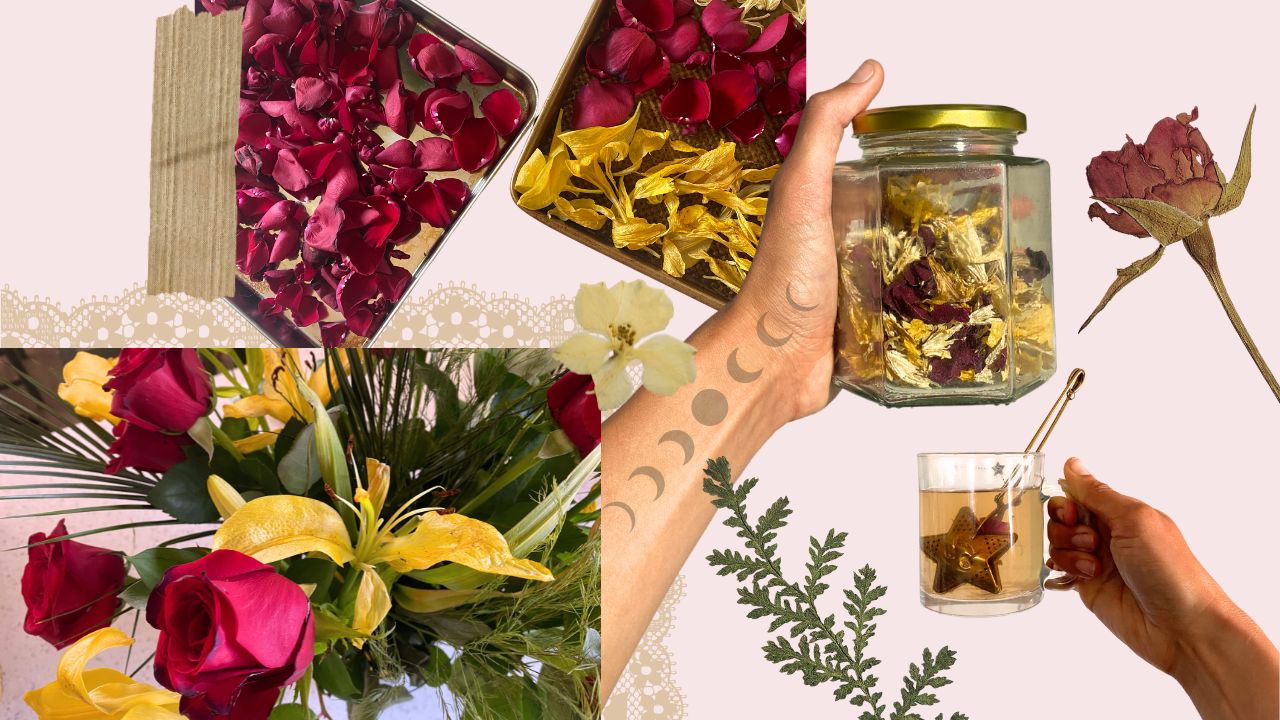 scrapbook style image, depicting the cycle of flowers getting made into tea leaves. Flowers in full bloom, then laid out to dehydrate, put in a glass jar, and then rehydrated as tea